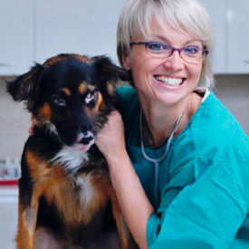 penn foster veterinary technololgy vtne results
