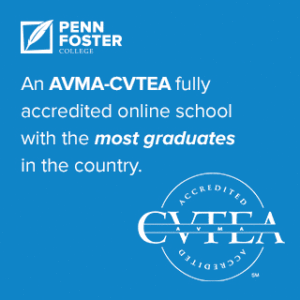 AVMA accredited vet tech degree online