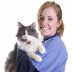 Veterinary Assistant